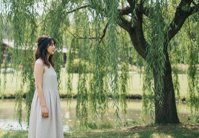 素直という花言葉を持つシダレヤナギを見つめる、婚活中の素直な女性のイメージ画像です。