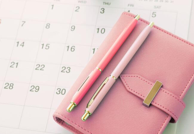 結婚相談所の入会から活動開始までのスケジュールのイメージ画像です。