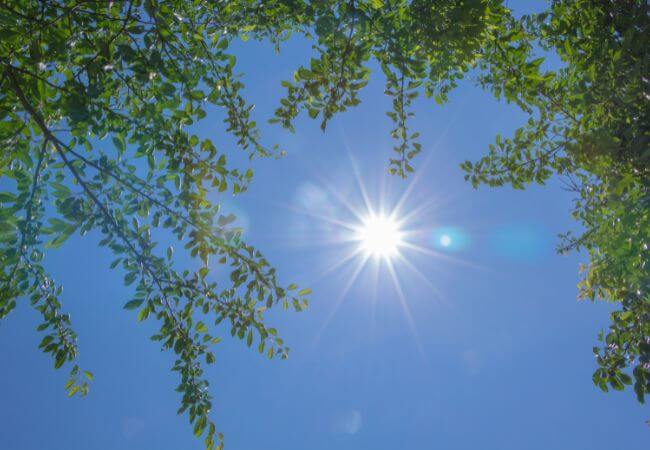 夏の暑い日のイメージ画像です。